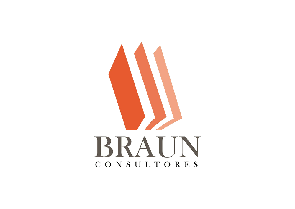 BRAUN CONSULTORES