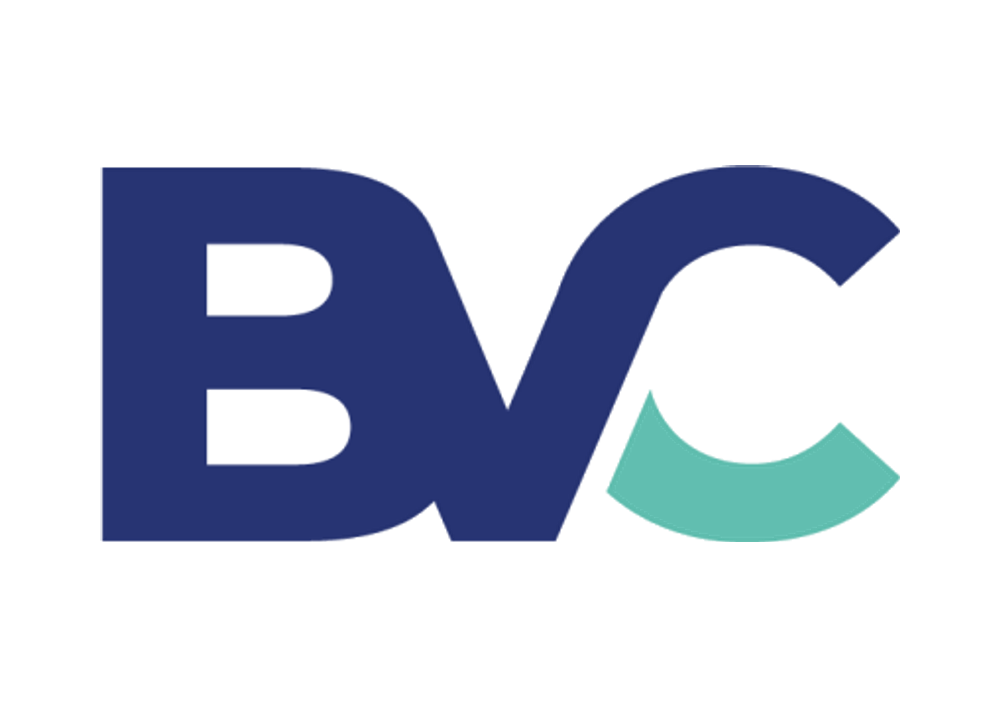 BVC GROUP