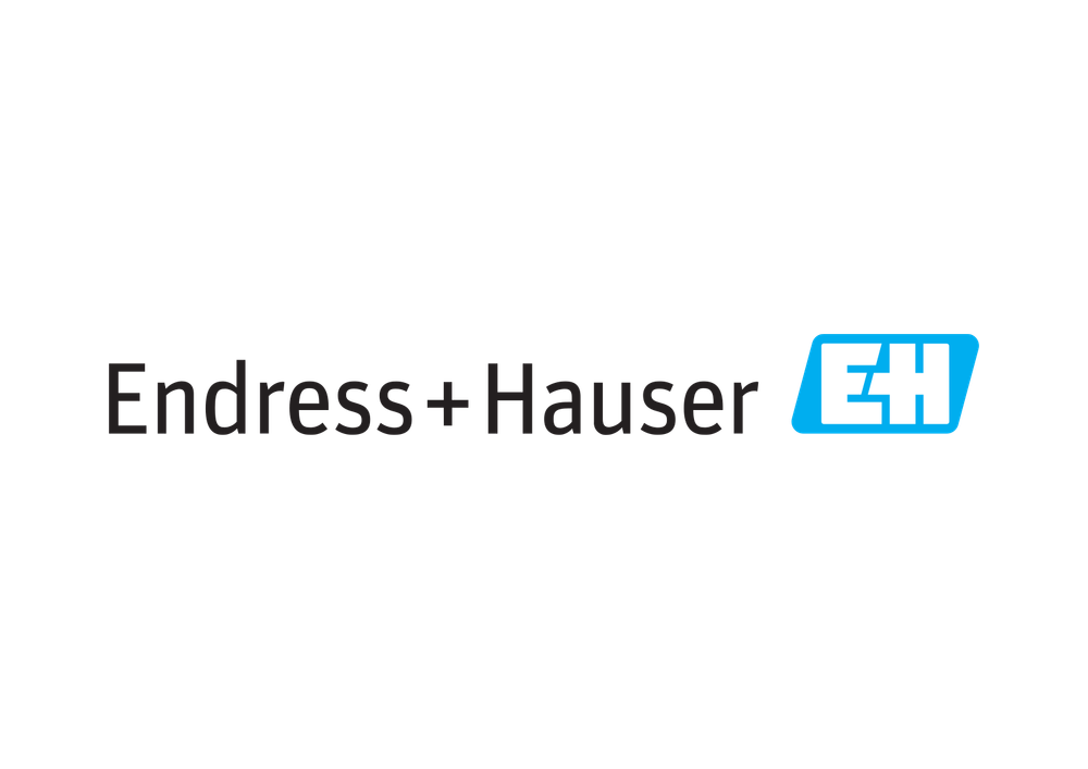 ENDRESS + HAUSER PERU
